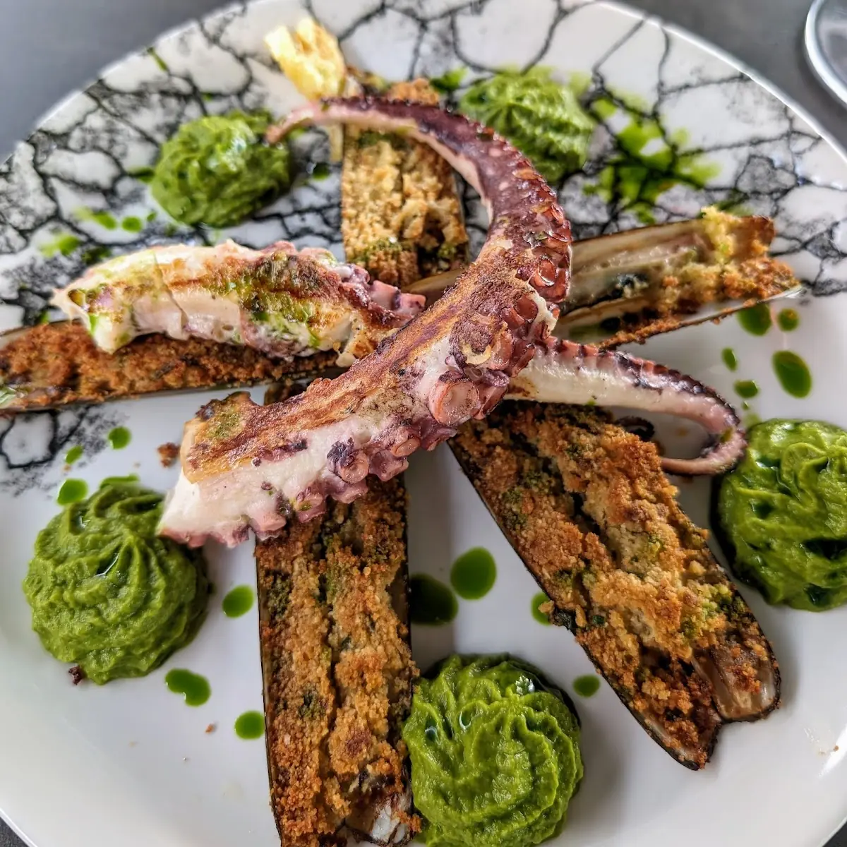 Muscheln Und Oktopus