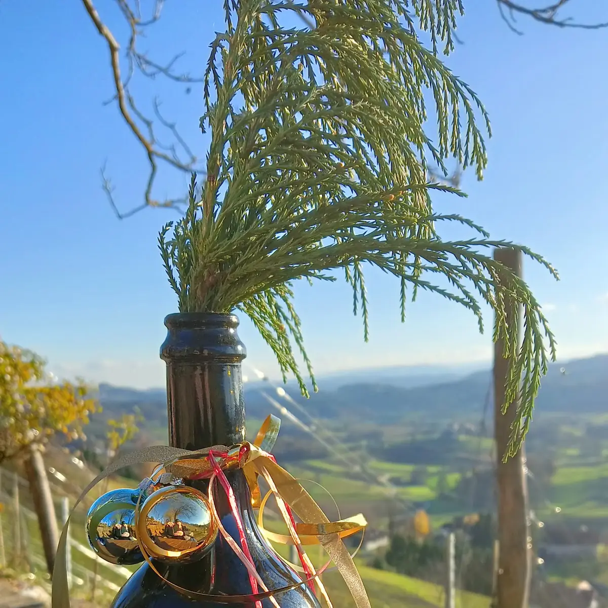 Muskatella Sekt