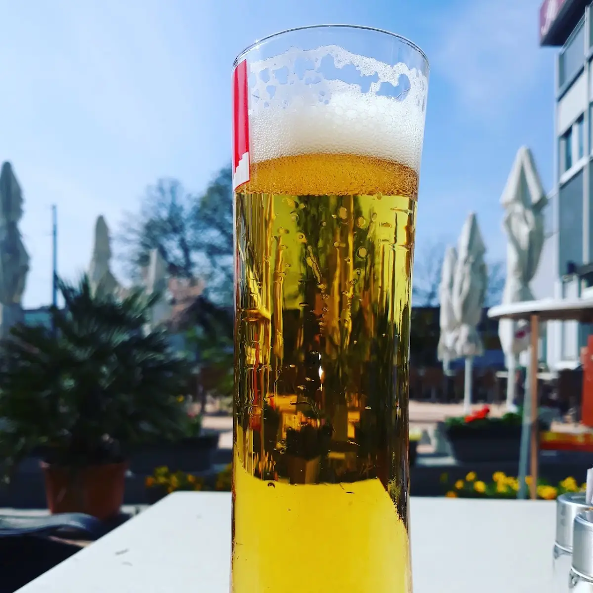 Bier