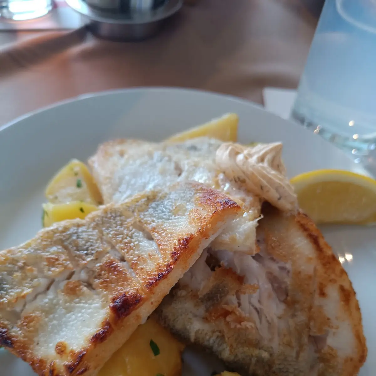 Zander Auf Kartoffeln