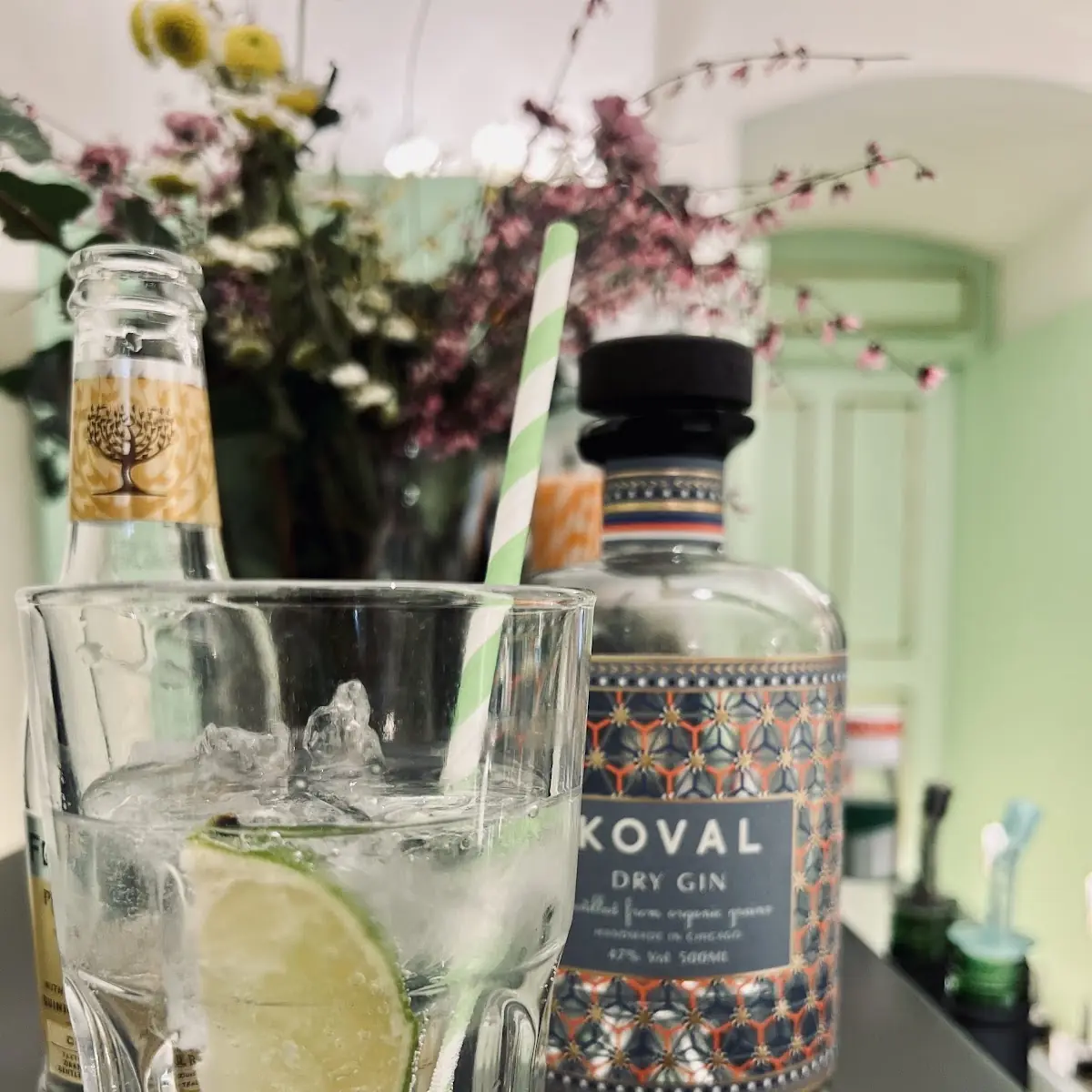 Gin Tonic