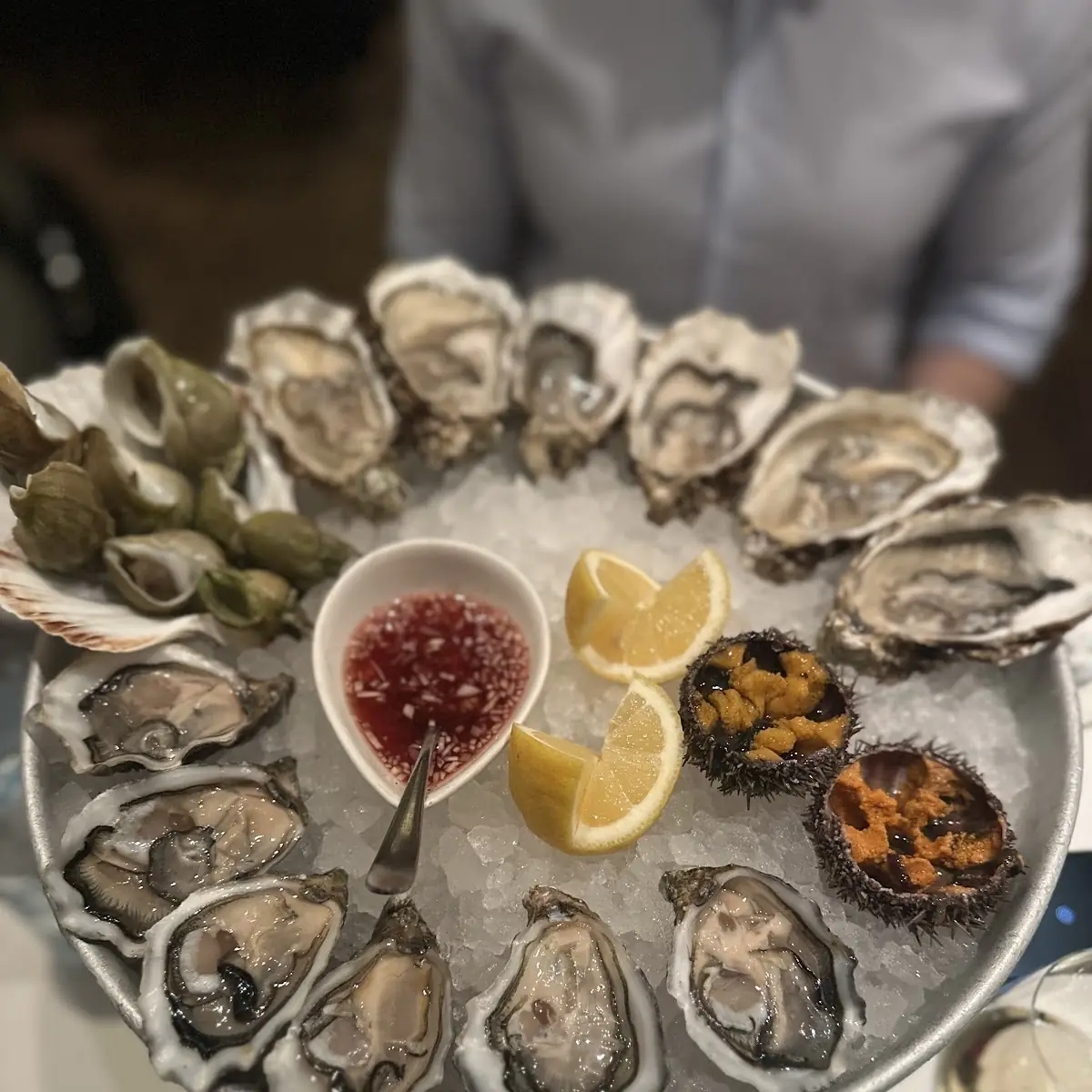 Oysters