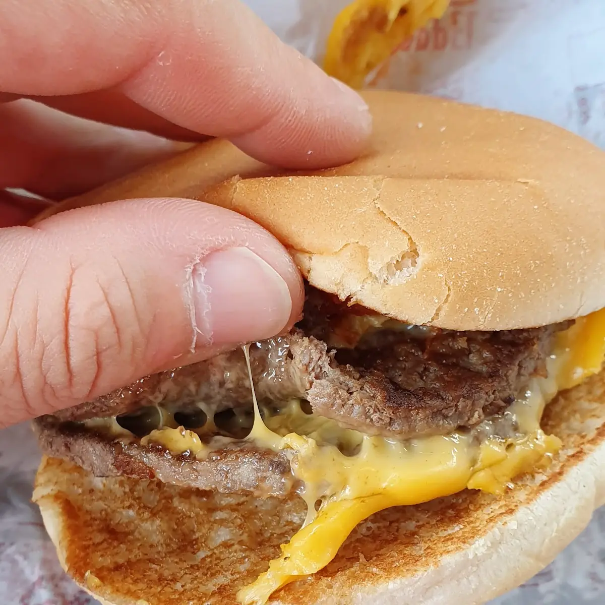 Double Cheeseburger