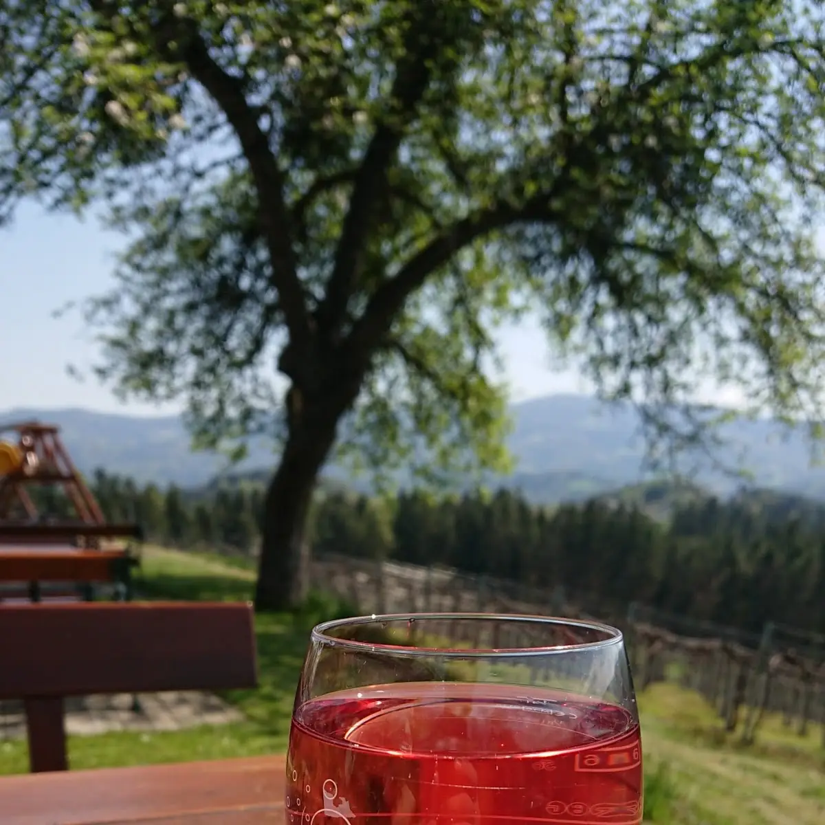 Schilcher Mischung
