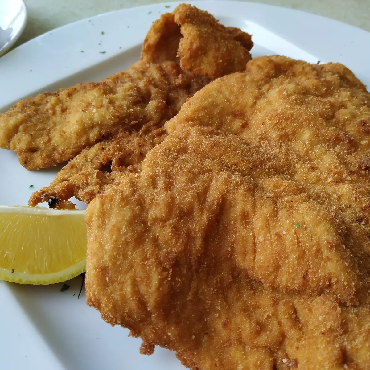 Hausschnitzel G M O