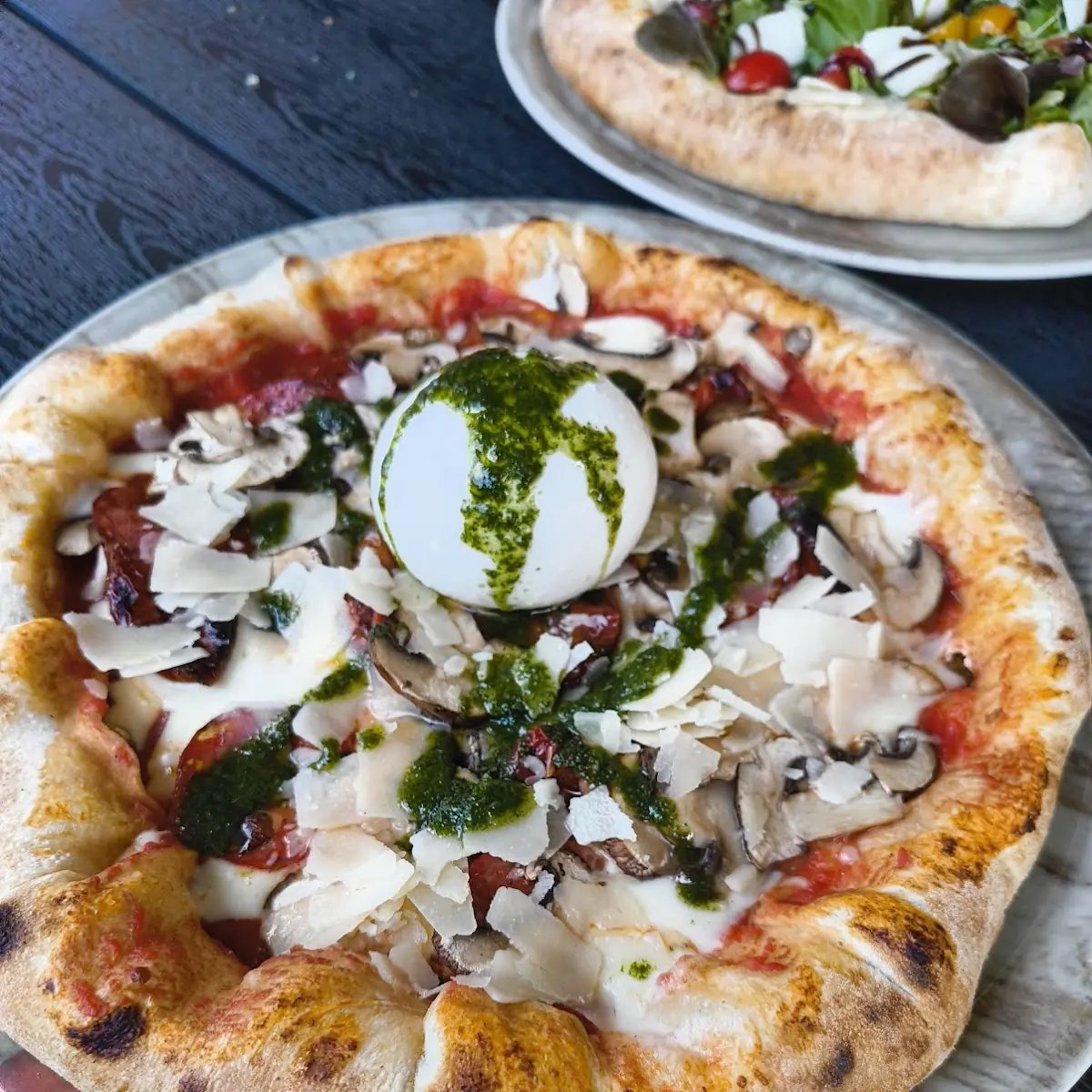 Highlight 13
