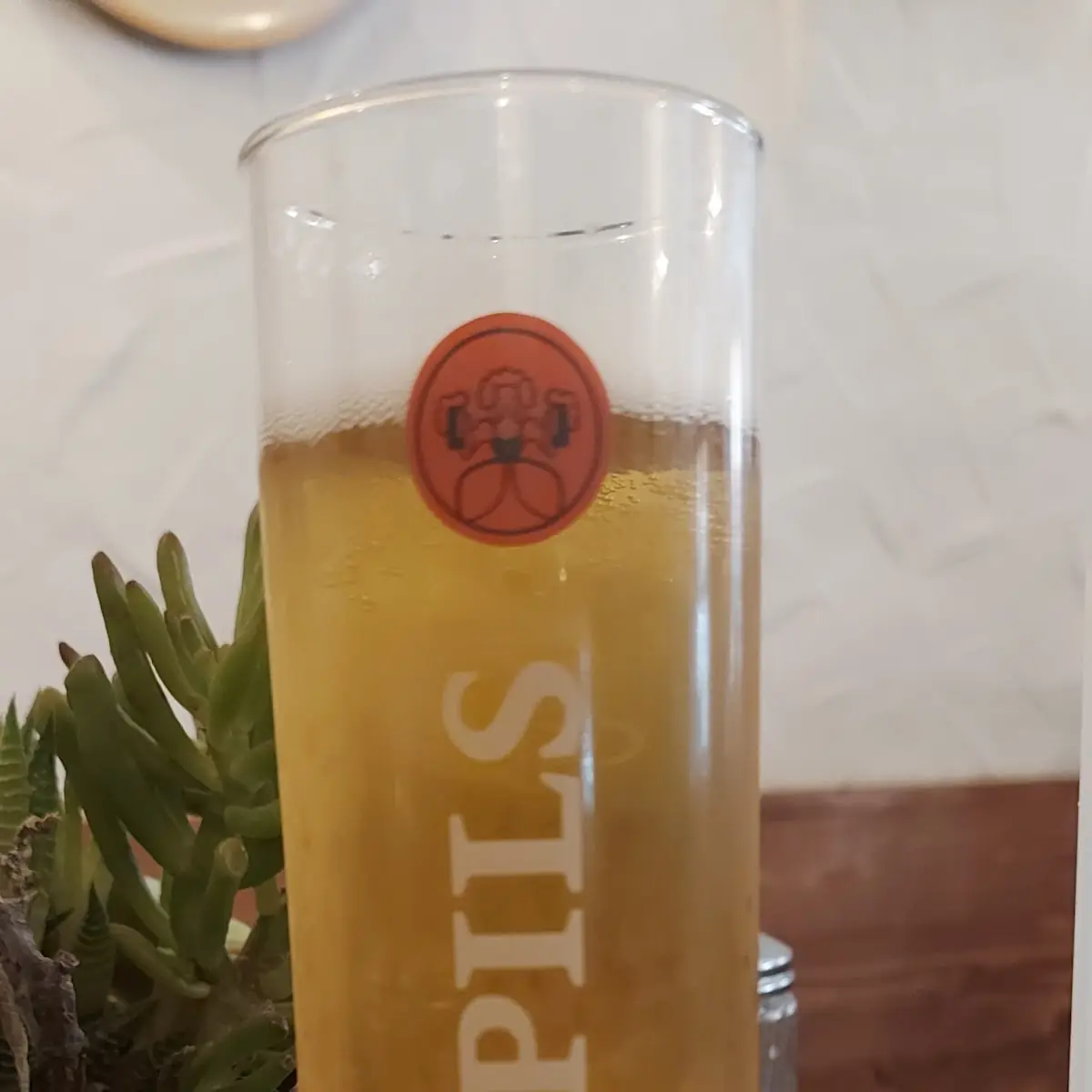 Bier