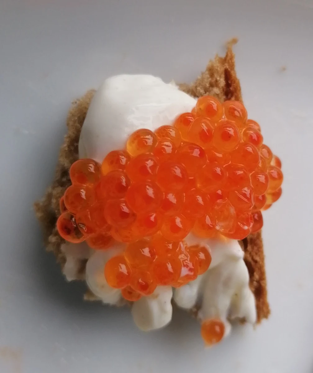 Brot Mit Oberskrenn Und Forellenkaviar