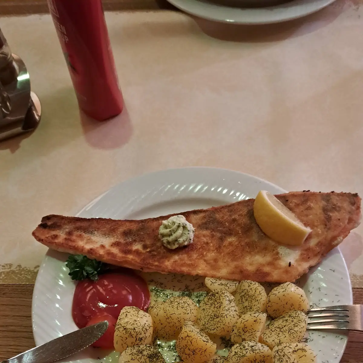 Fisch Beratend