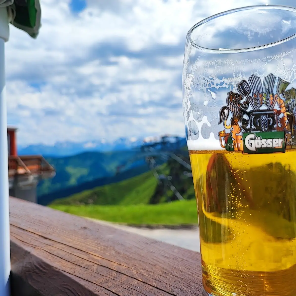 Bier