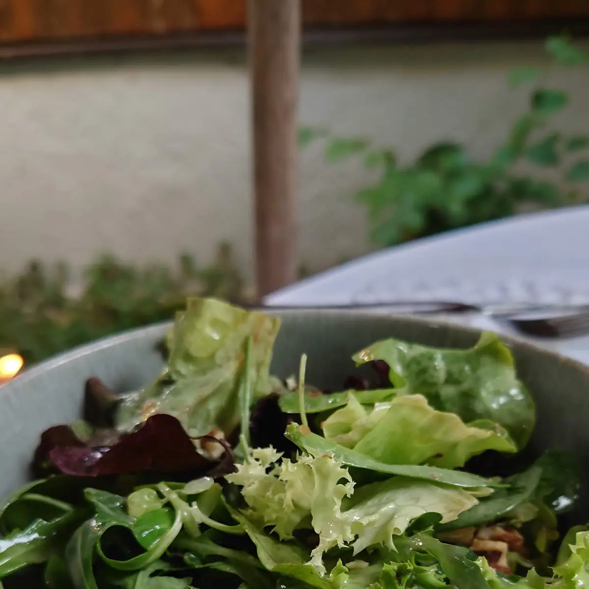 Sallad