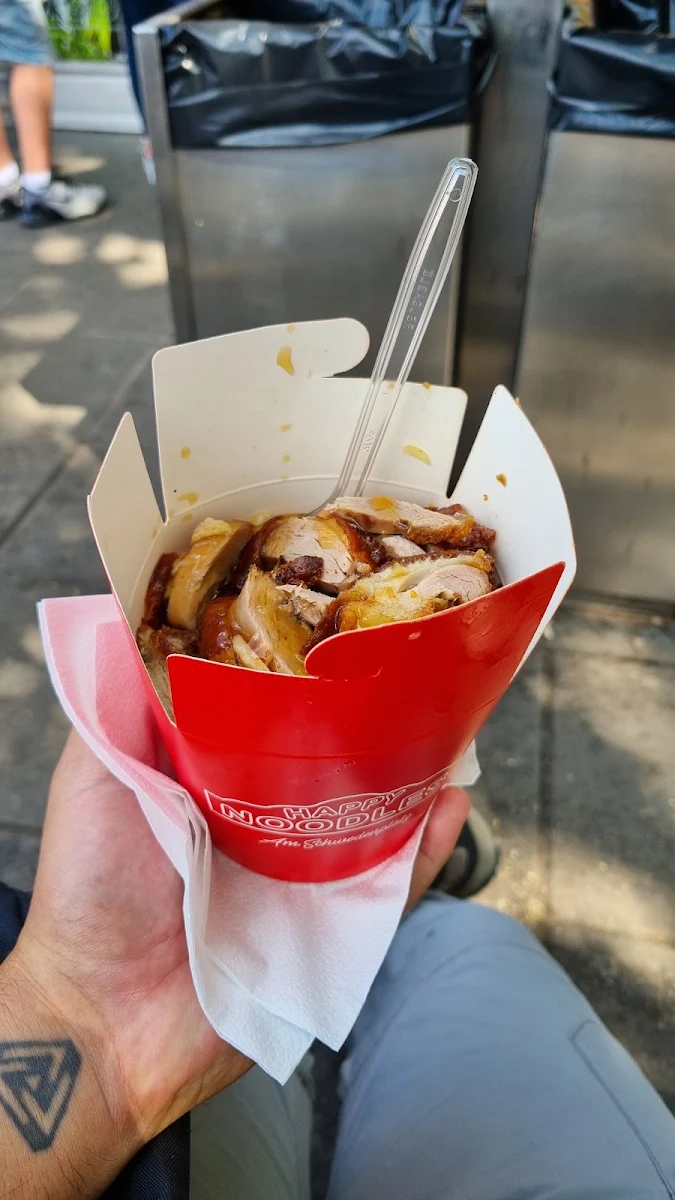 Duck Noodles