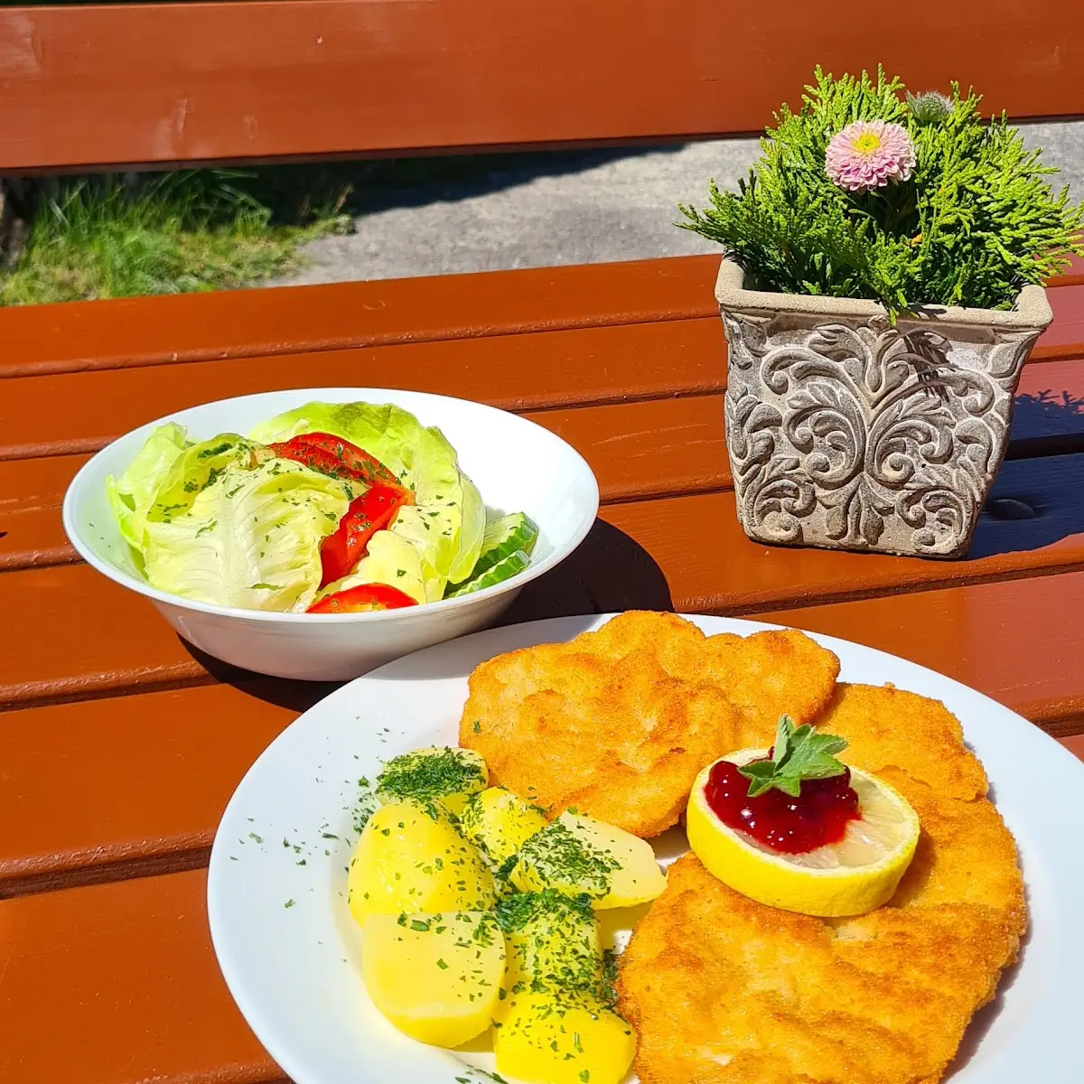Schnitzel Met Salade