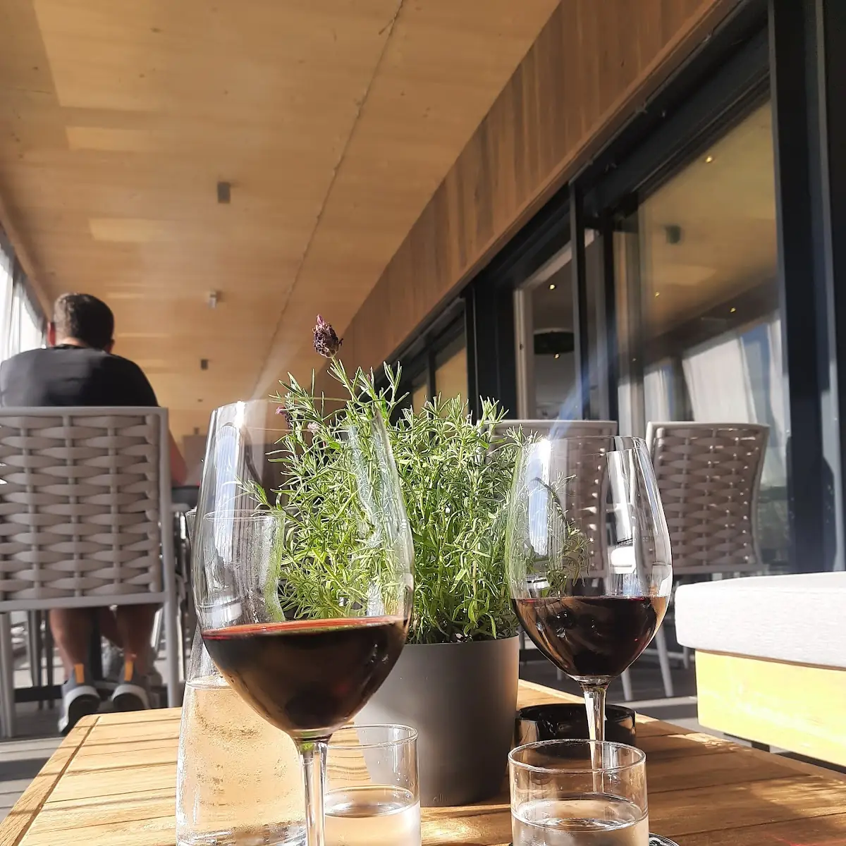 Primitivo