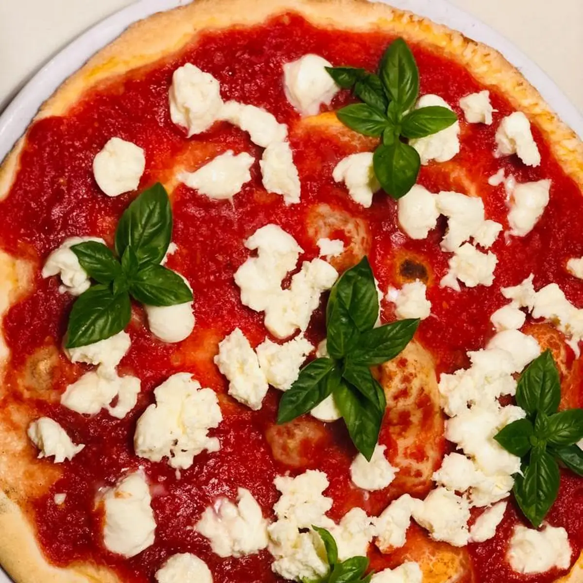 Pizza Fresco