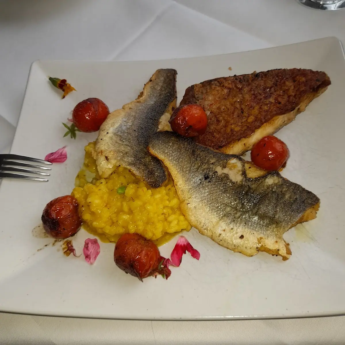 Zweierlei Fisch Wolfsbarsch Red Snapper Auf Risotto Und Geschmorten Tomaten