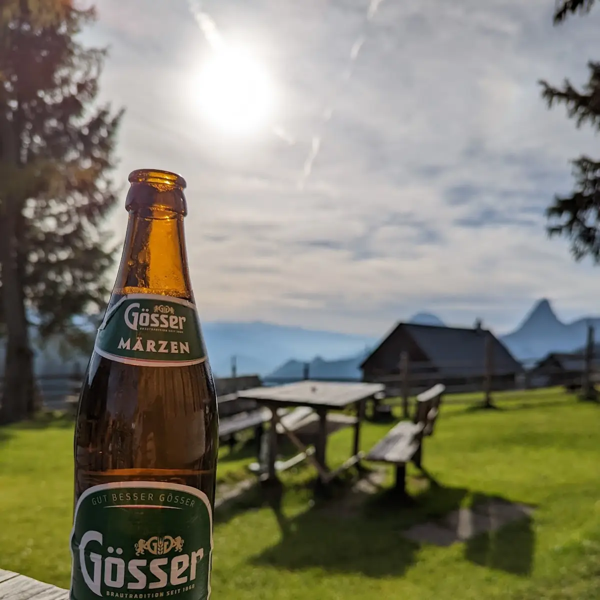 Bier