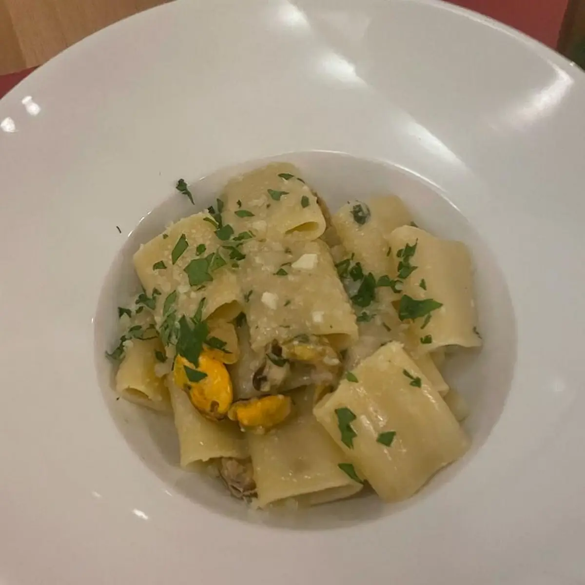 Mezze Maniche Con Cozze