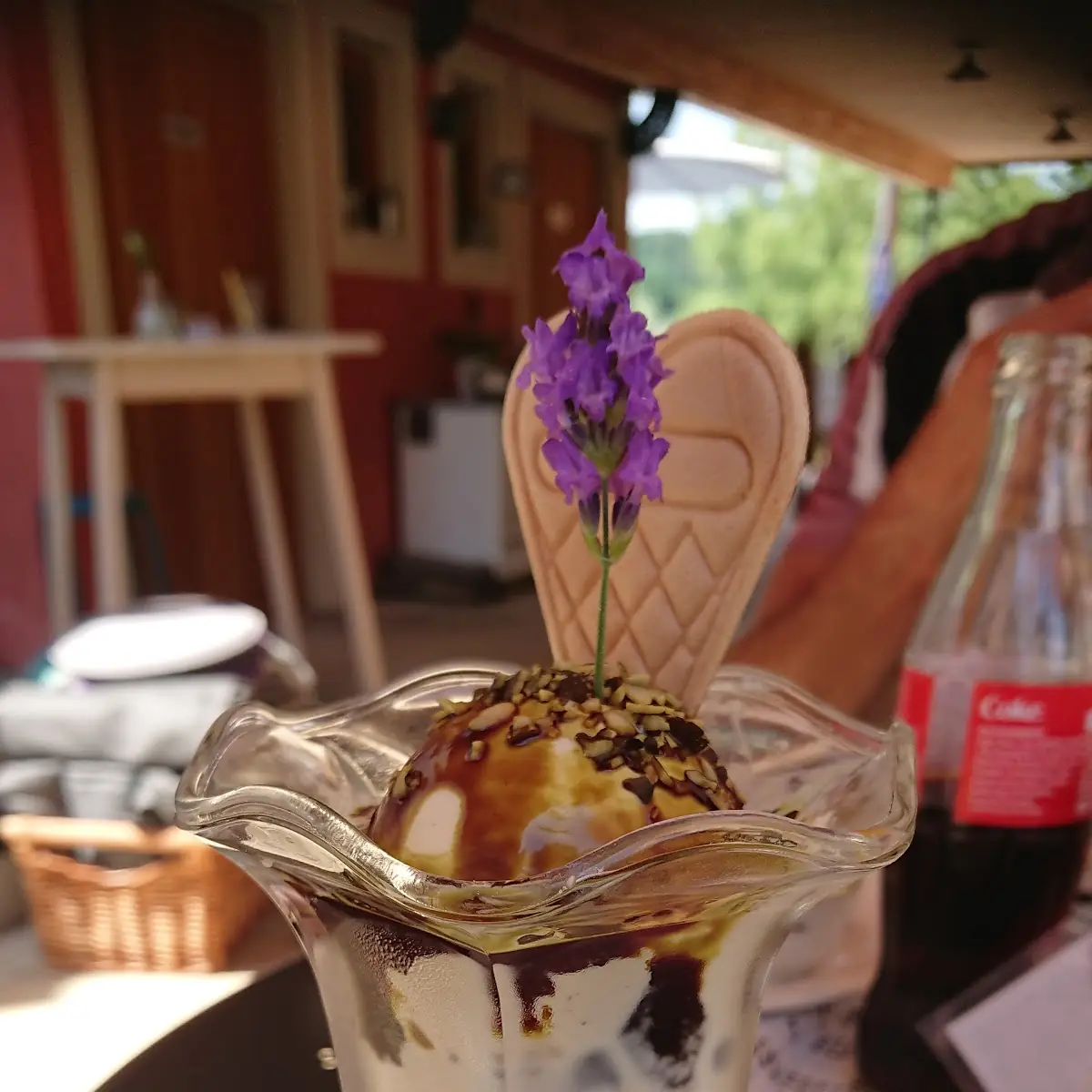 Vanilleeis Mit Kernöl Und Gerösteten Kürbiskerne