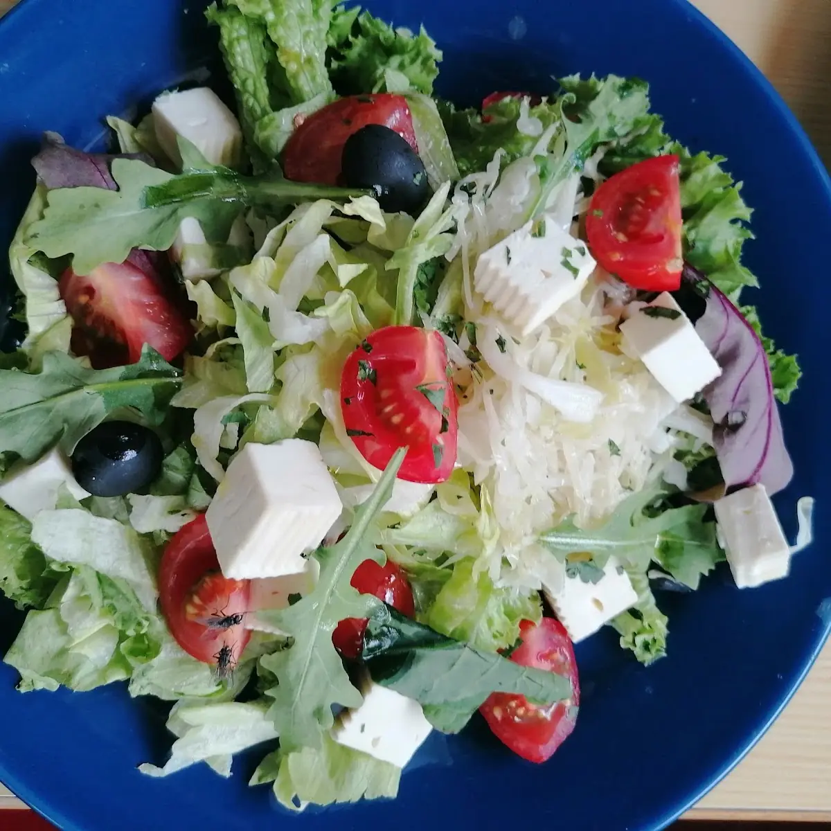 Fitness Salat