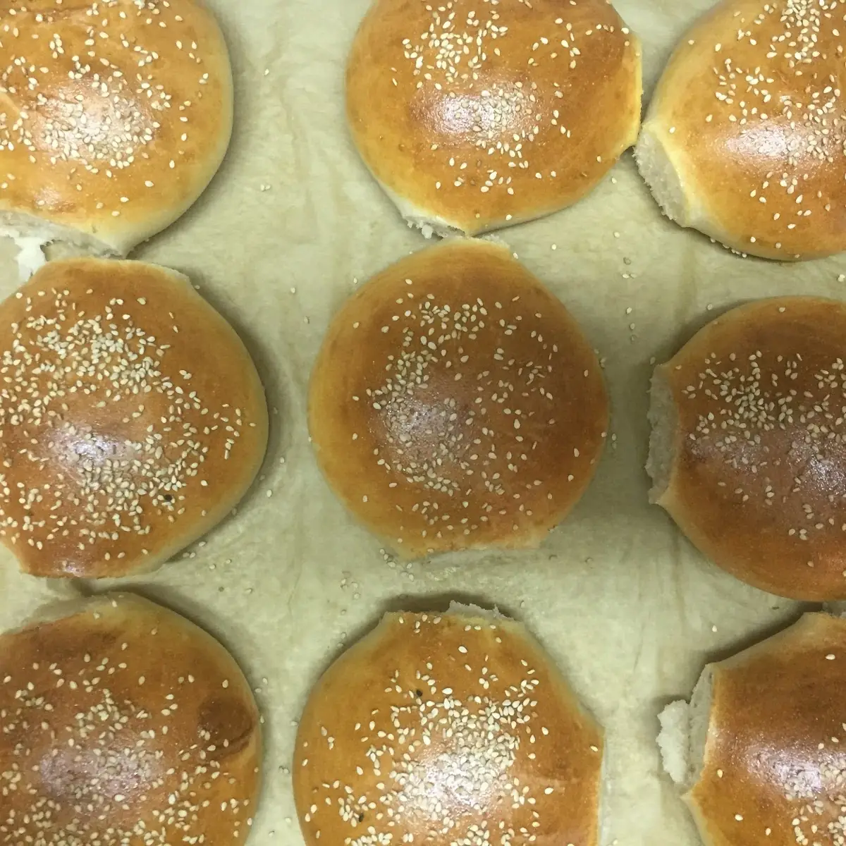 Hausgemachte Cizburger