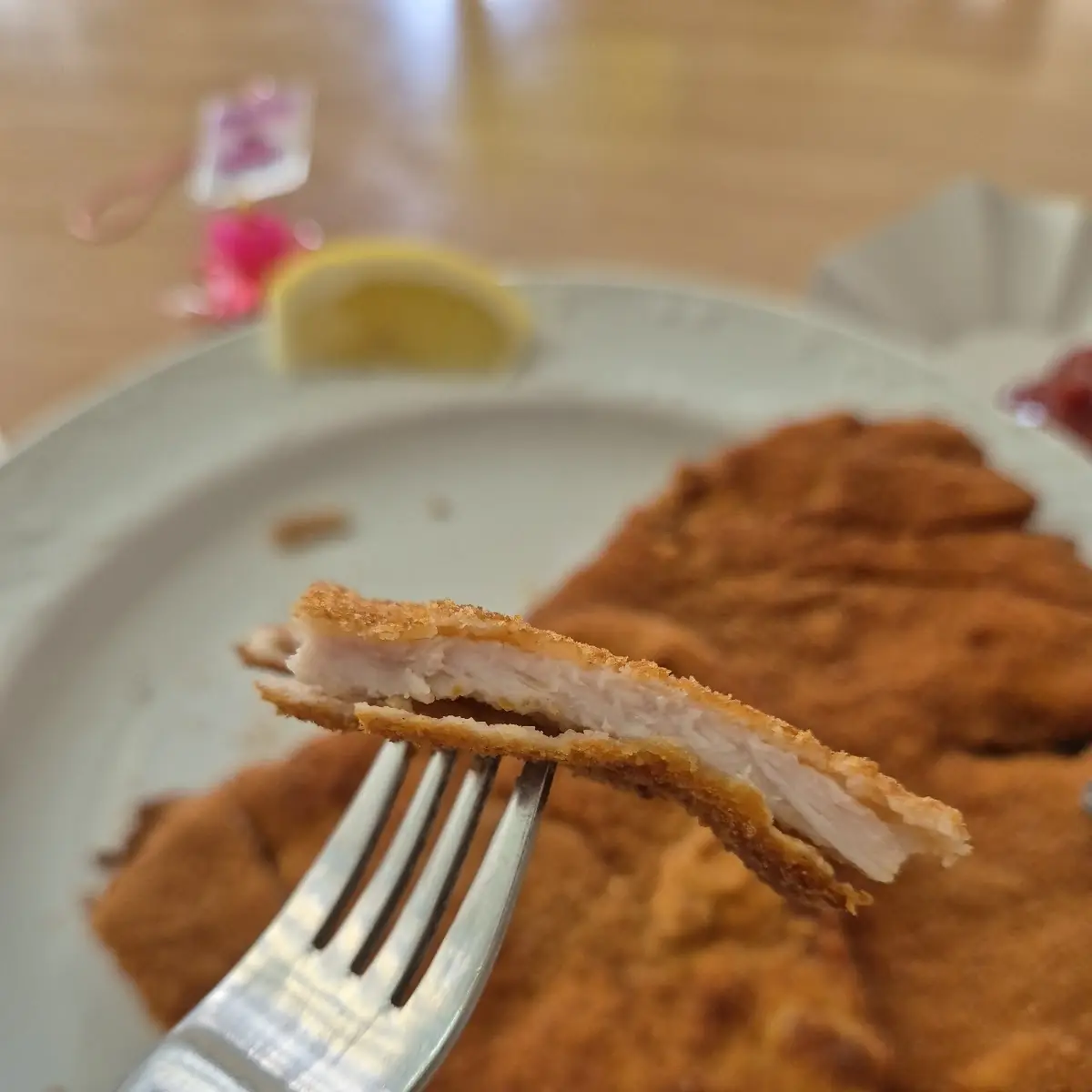 Highlights, SchnitzelCenter