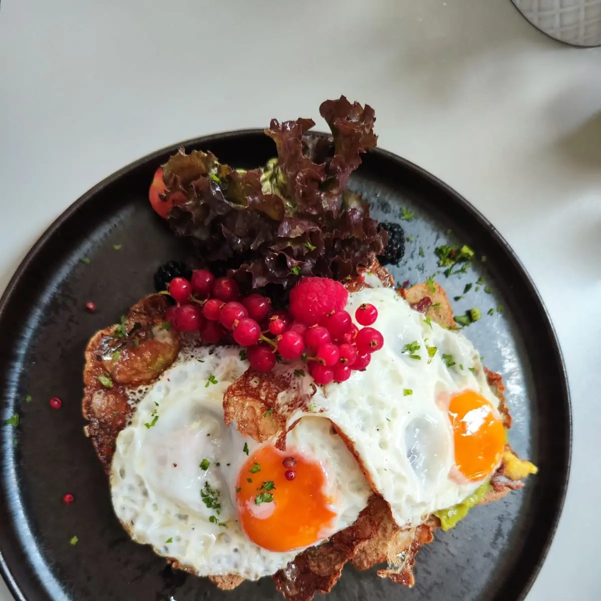 Avocado Toast