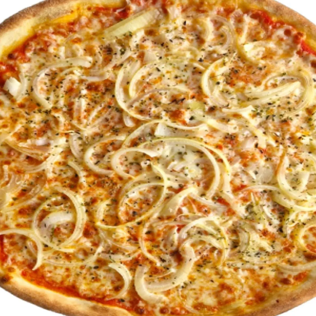 Highlight 13
