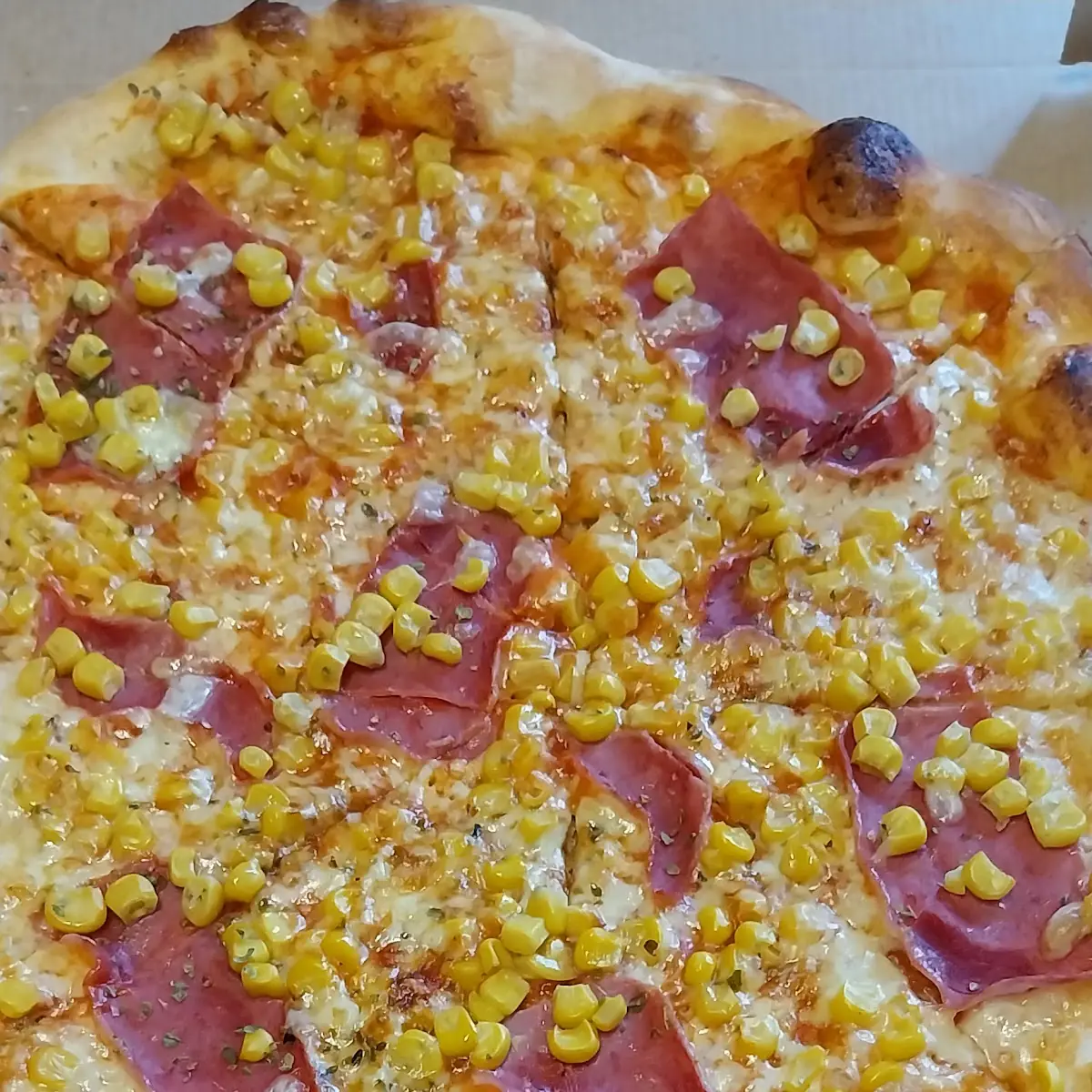 Pizza Sinans Mit Zwiebel