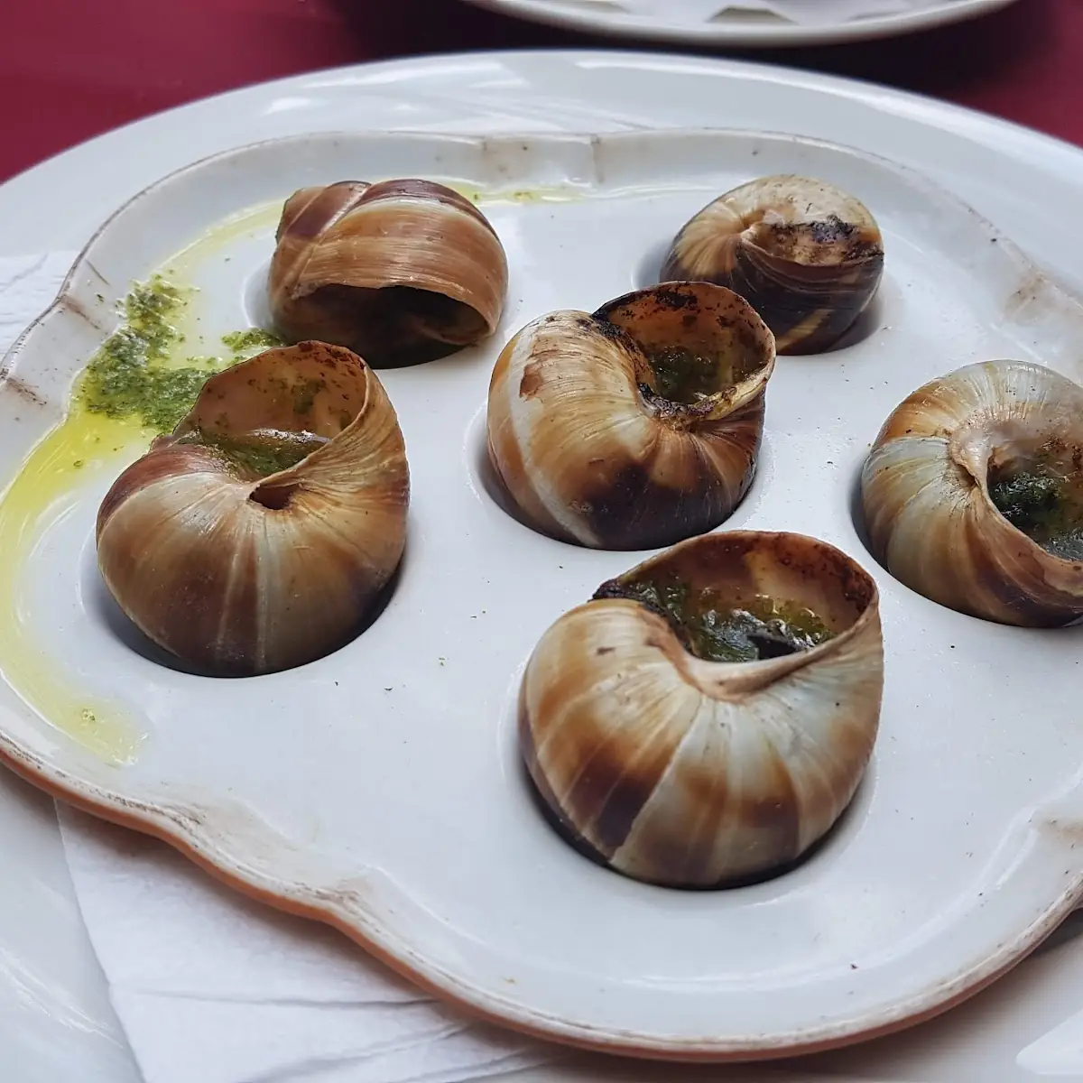 Schnecken