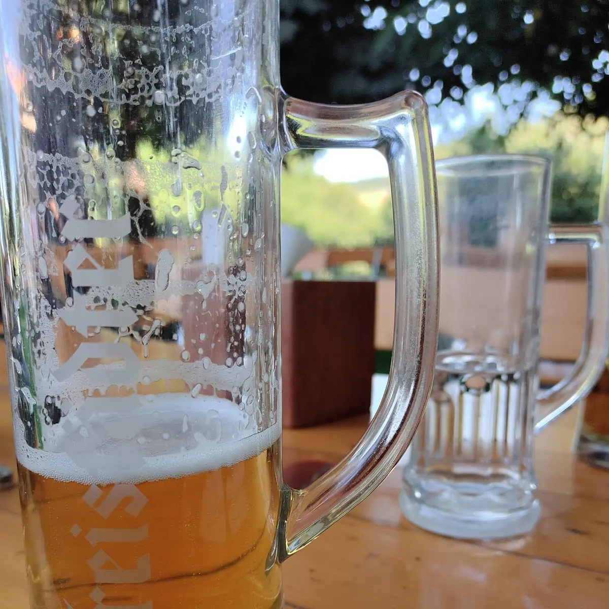 Bier