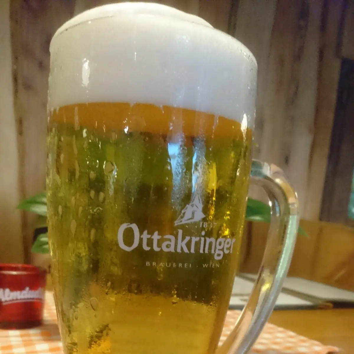 Bier