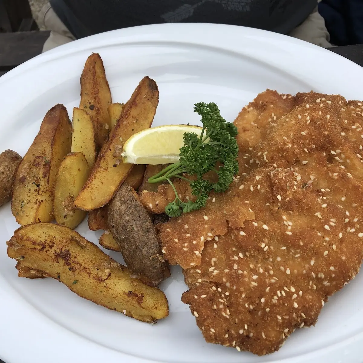 Schutzhaus Schnitzel