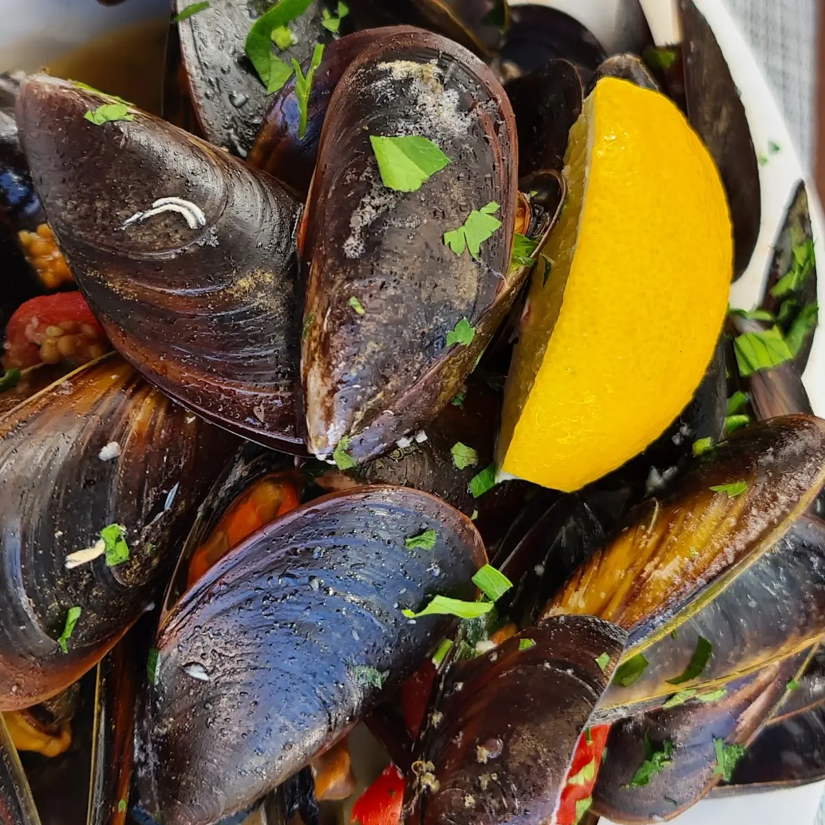 Cozze - Miesmuscheln