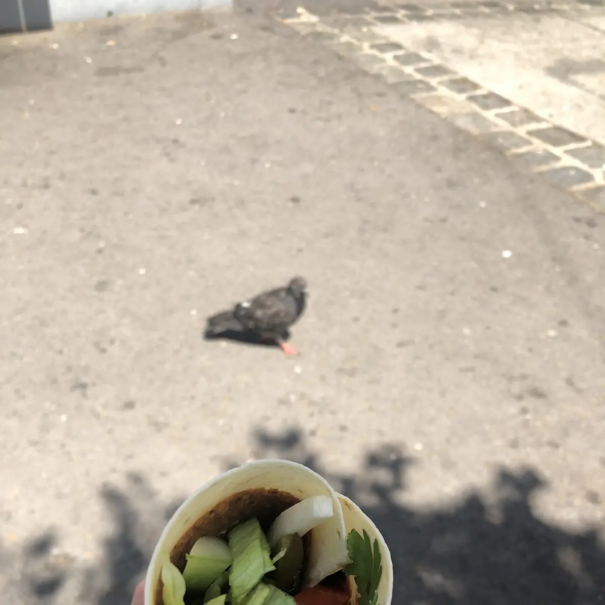 Wrap