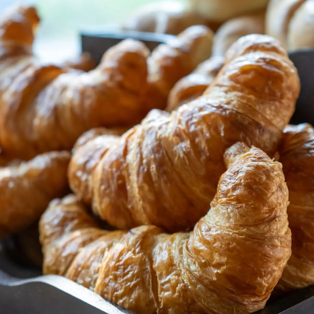 Highlight 16