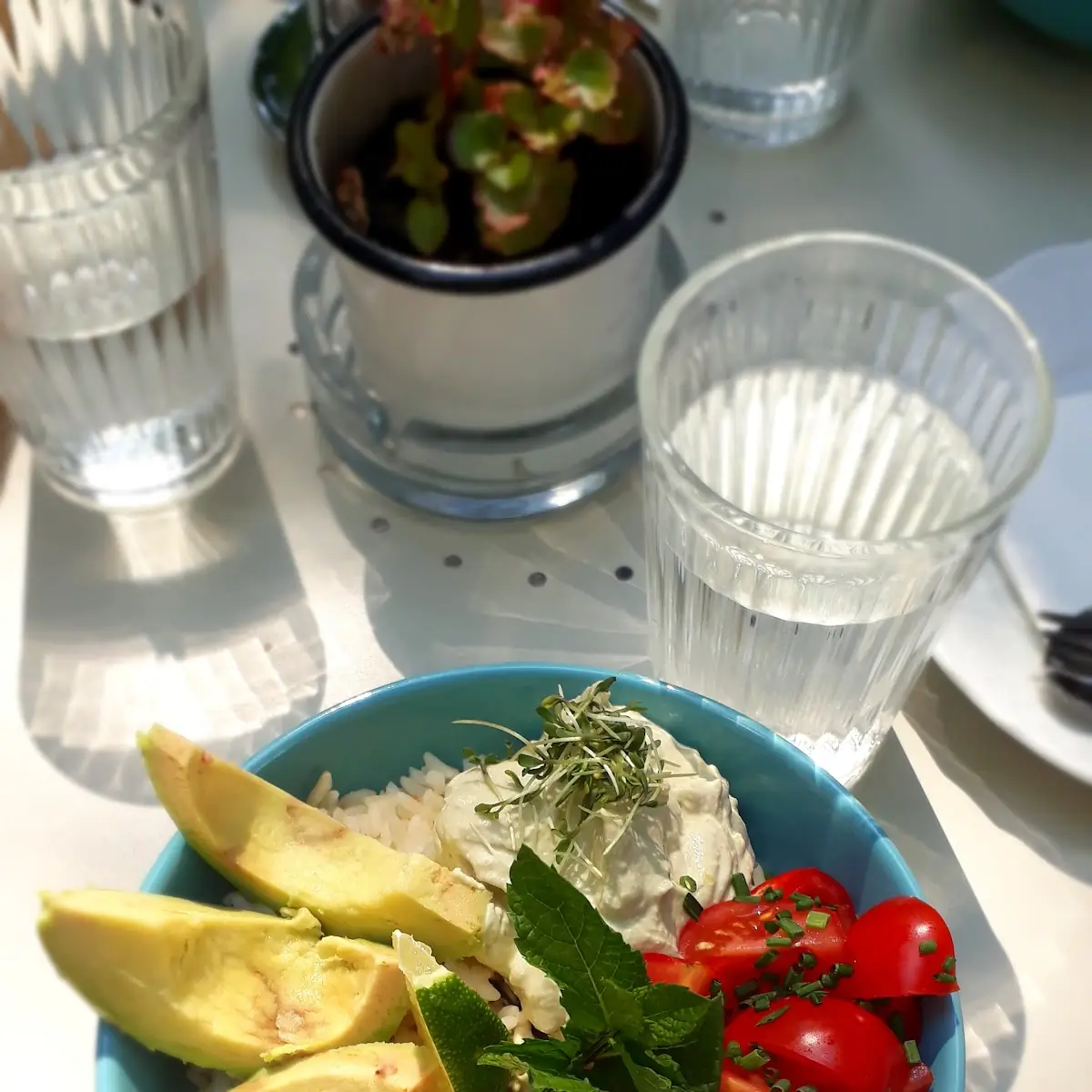 Avocado Bowl