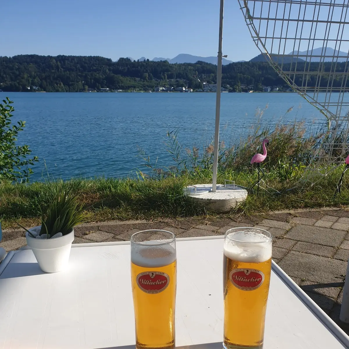 2 Grosse Kühle Bier