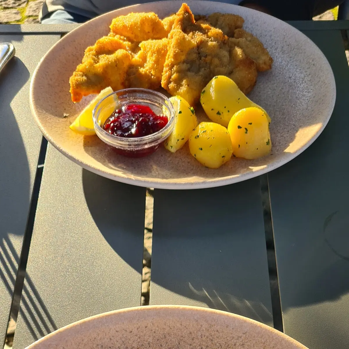 Beiriedschnitte Mit JuS Und Speckfisolen