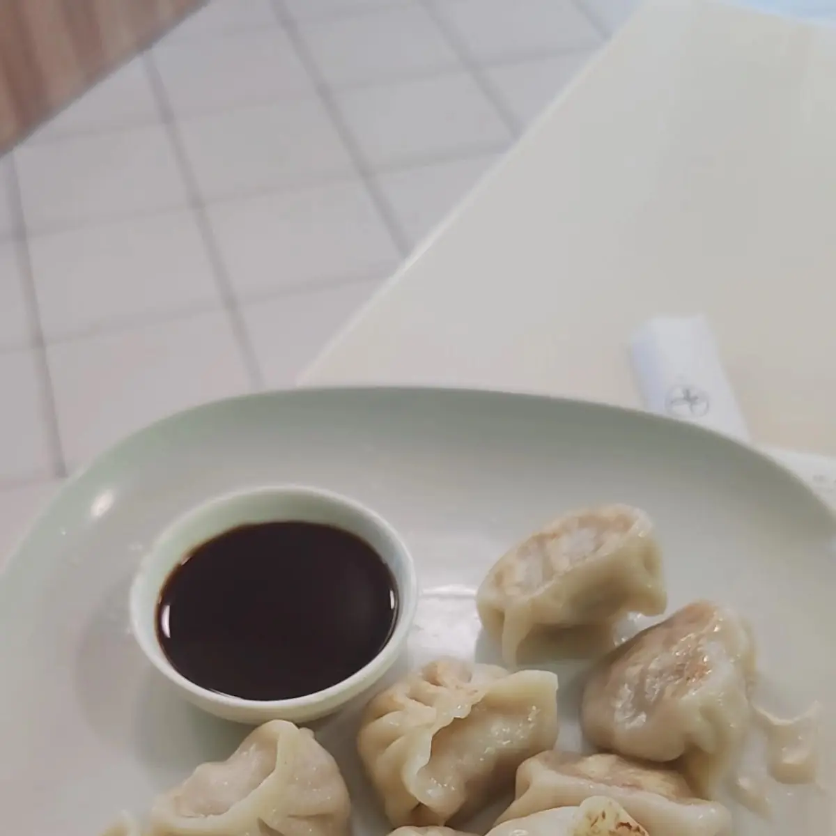 Pork Dumplings