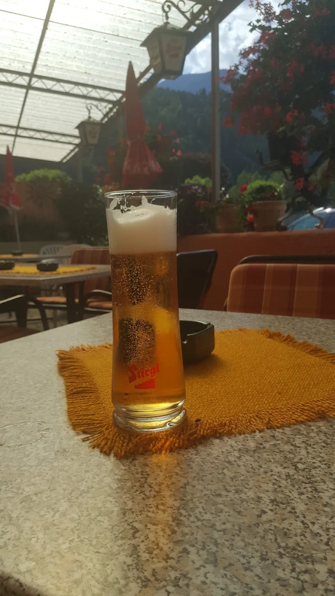 Bier