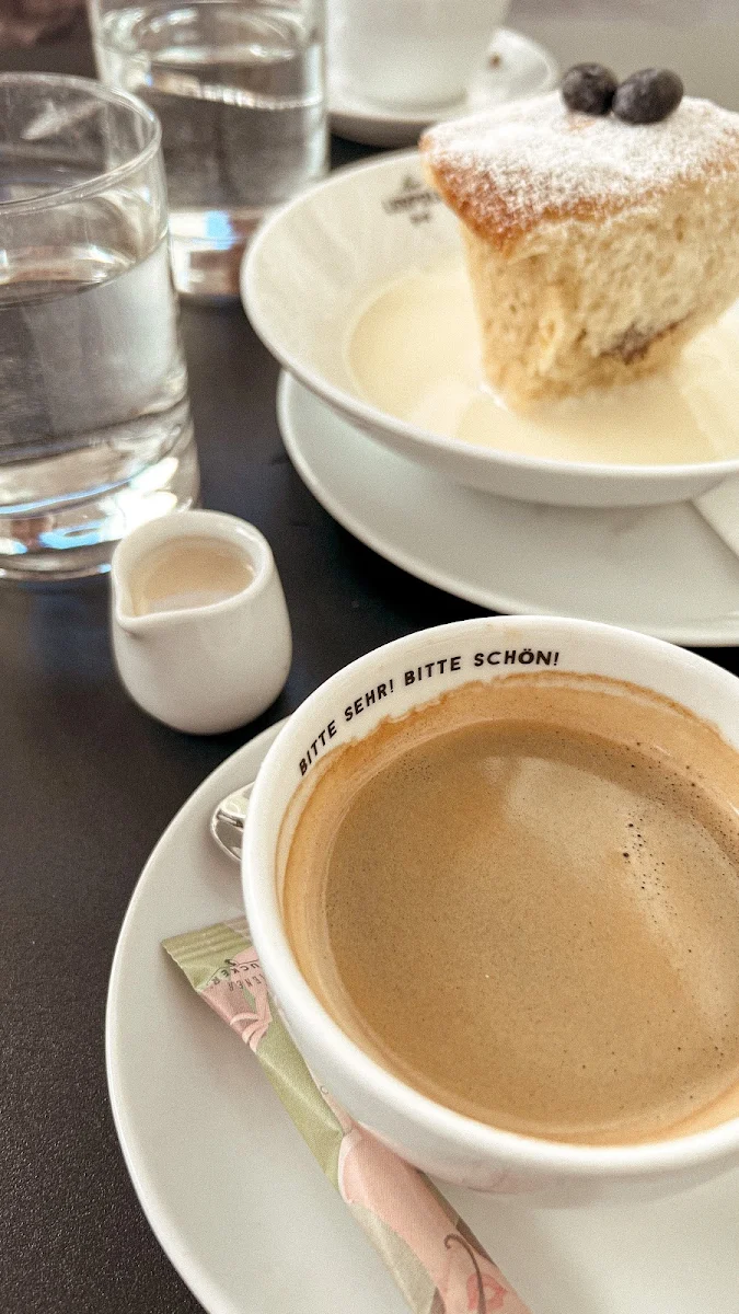 Buchtel Mit Vanillesoße