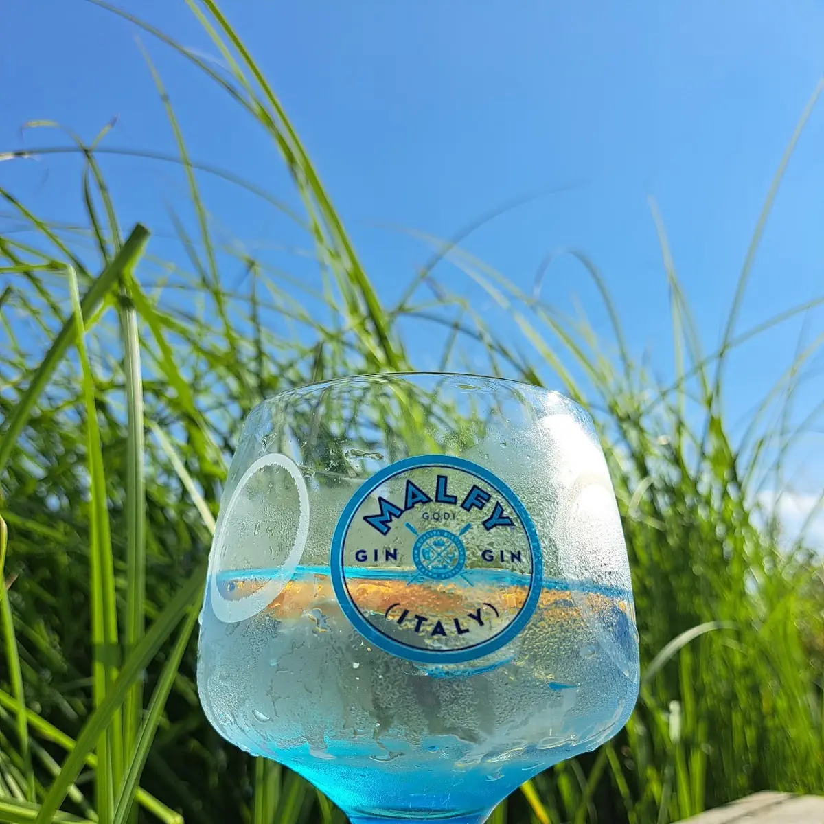 Gin Tonic