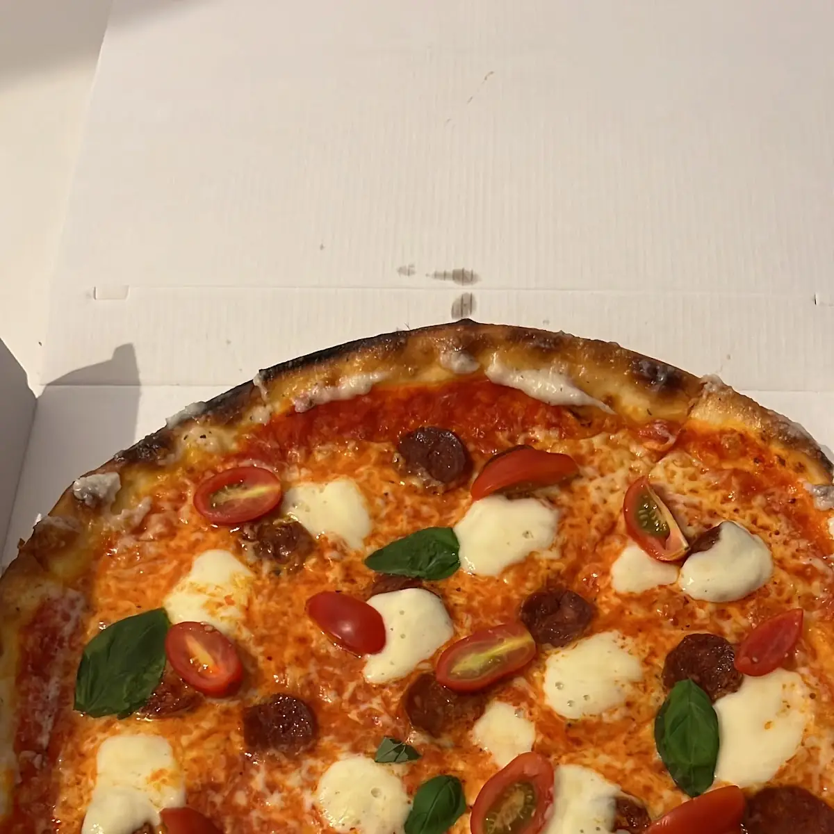 Pizza Funghi