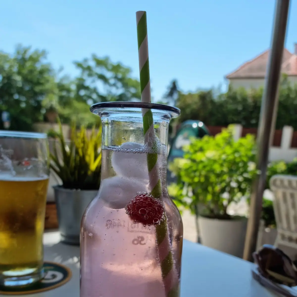 Hausgemachte Bio Limonade