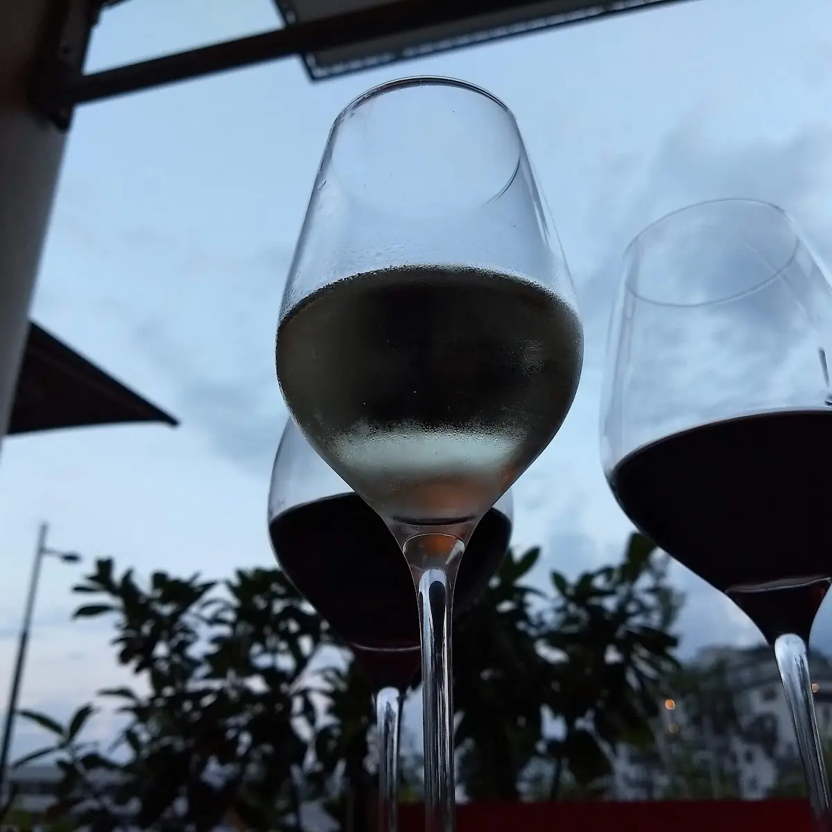 Wein