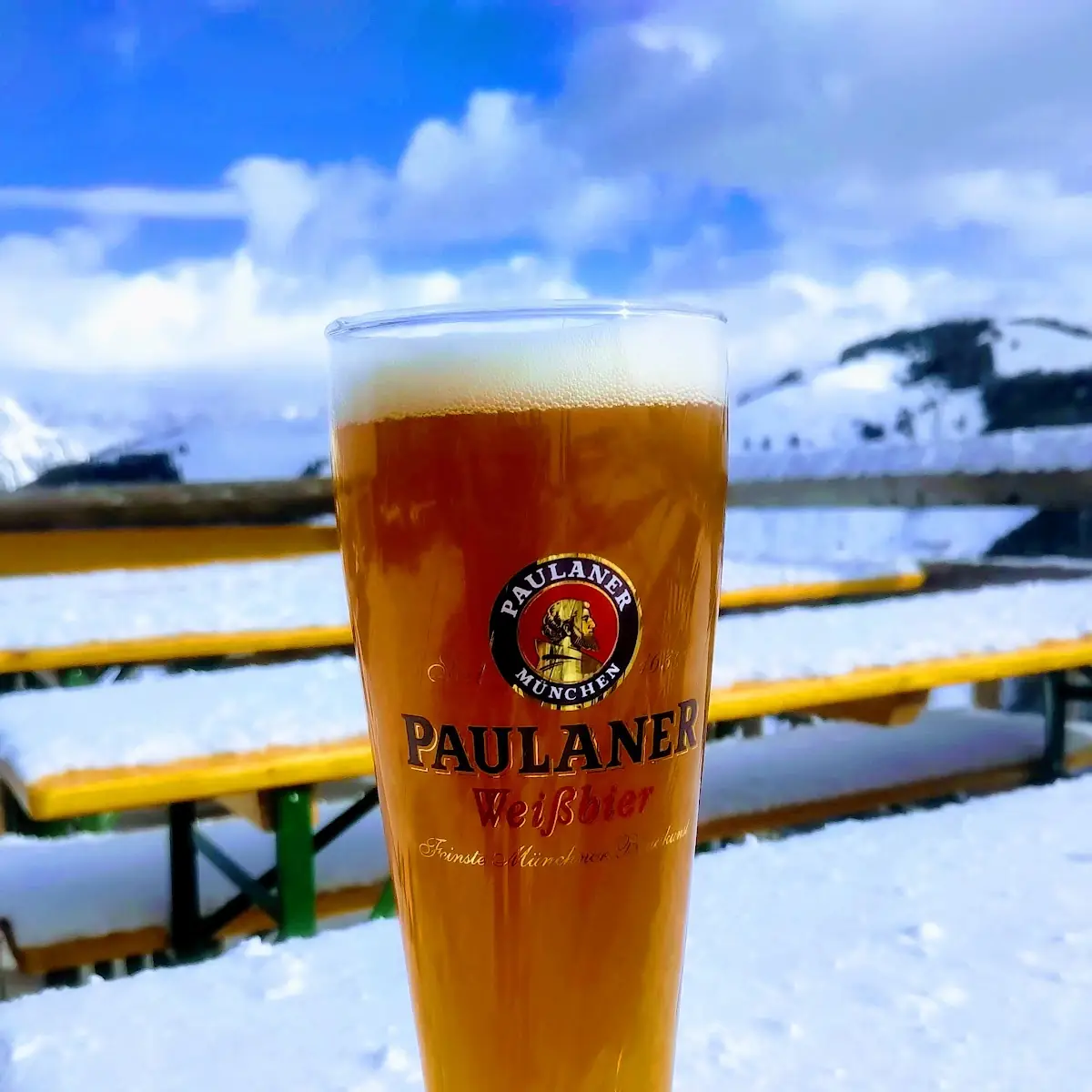 Paulaner Bier