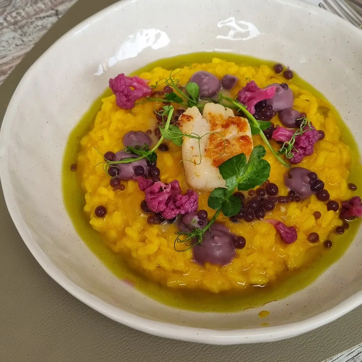 Jakobsmuschel Auf Safranrisotto