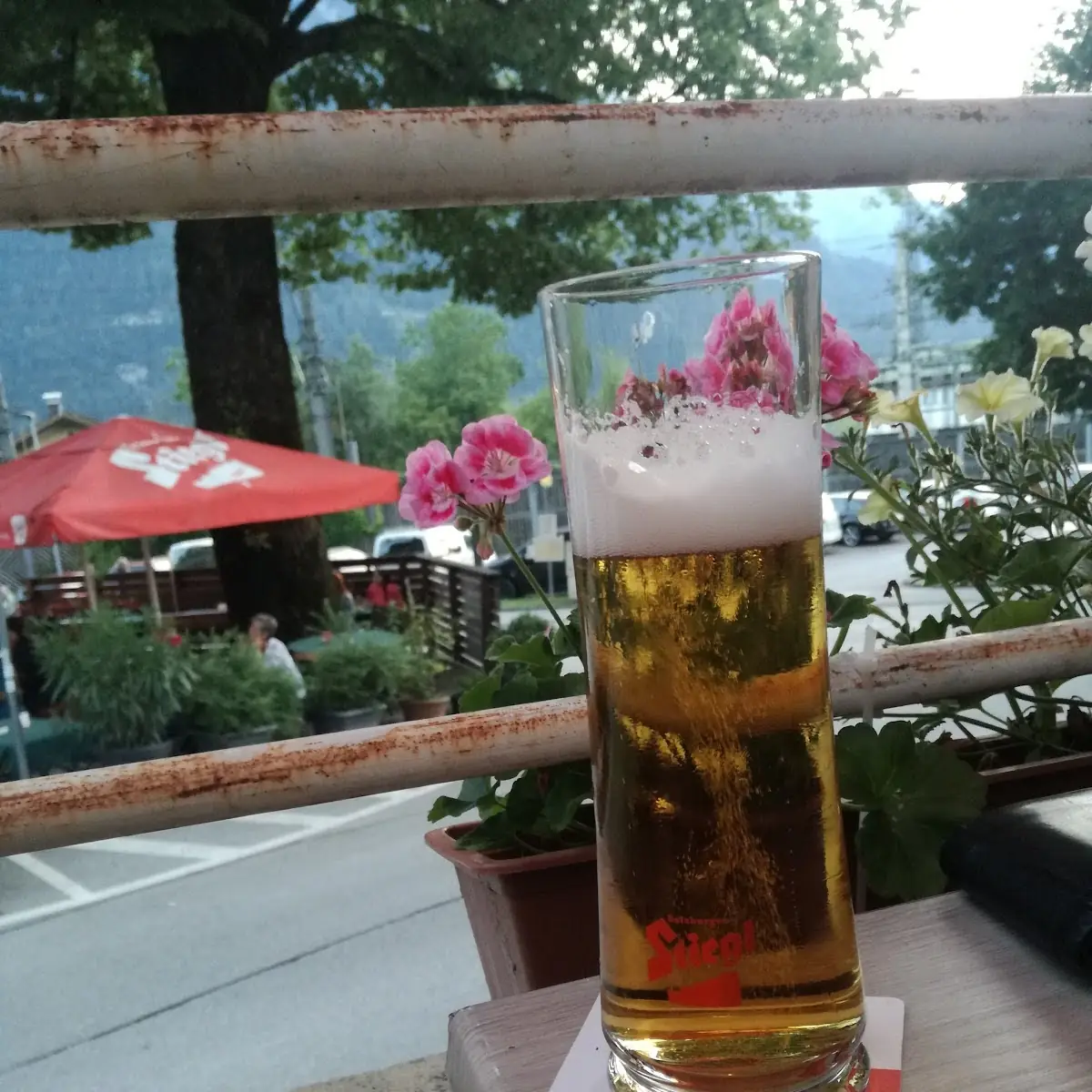 Pivo
