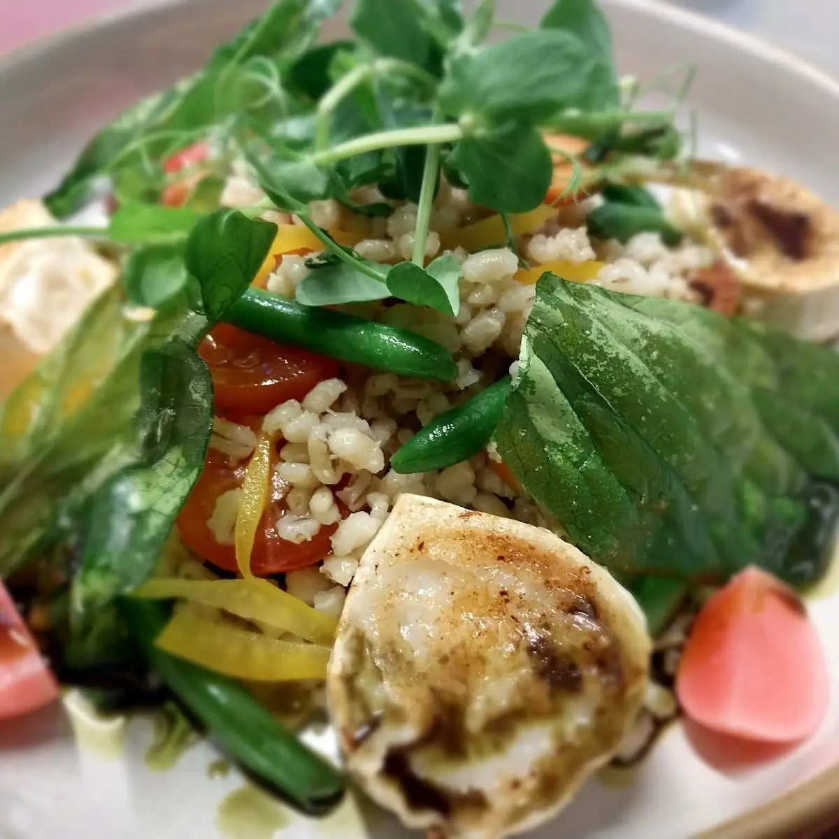 Gegrillter Ziegenkäse Buchweizensalat